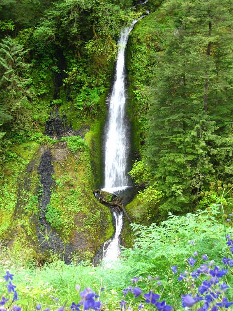 Eagle Creek-134.JPG - Loowit Falls